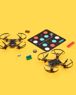 Junior Fly Scratch 2