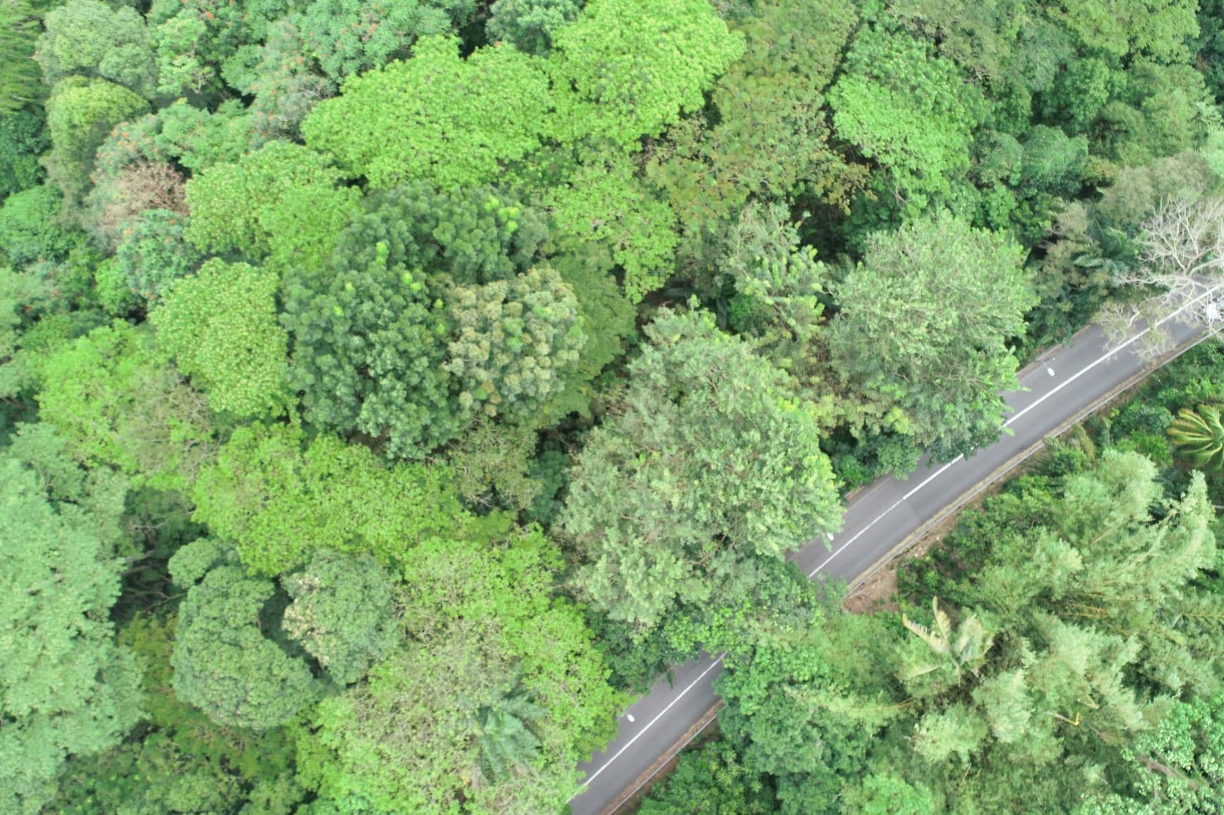 Low Cost Aerial Mapping Drone Services in 2021