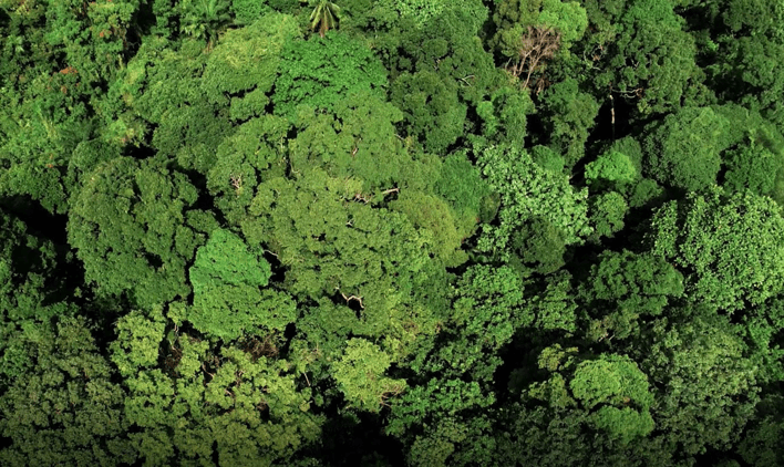 Surveying with Drones | Drone Services in Singapore 2021